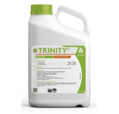 TRINITY