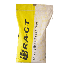 Colza hybride - RGT Ceos