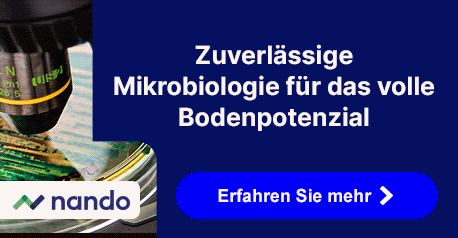 202606_NANDO_BRANDSTORE