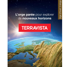 Orge d'hiver fourragère - Terravista - BIO