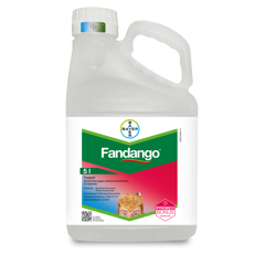 Fandango I Fungizid