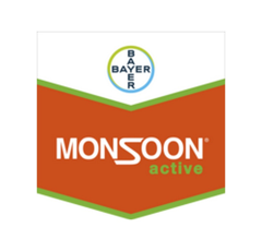 MONSOON ACTIVE