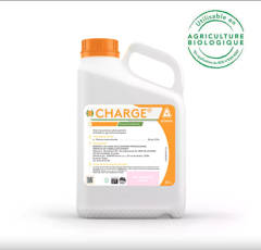 CHARGE - Grundsubstanz