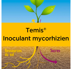 TEMIS MYCORHIZES - Traitement biostimulant de semence