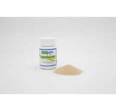 Piège à mouches - RECH POUR APPIBUSTER GARDEN - Lutte contre les mouches et moucherons  | Bestico