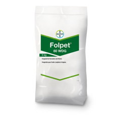 Folpet 80 WDG | Fungizid