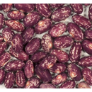 Käferbohne - STREAMLINE