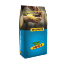 Colza hybride - DK Expacito