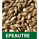 Epeautre - Alkor - BIO