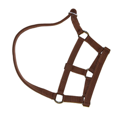 Kopfhalfter für Schafe und Böcke rot