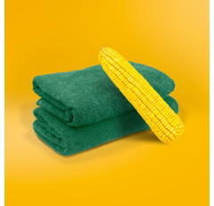 Saatmais - KWS Gustavius (S240 K230) | KWS