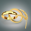 Winterweizen - KWS Emerick