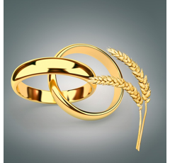 Winterweizen - KWS Emerick