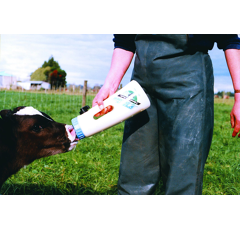 Biberon 4 l pour veau speedy feeder - SHOOF