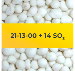 21-13-00 + 14 SO3