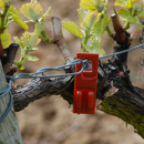 Carton de 252 capsules RAK 2 NEW - Confusion sexuelle vigne - Biocontrôle