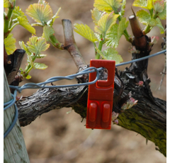 Carton de 252 capsules RAK 2 NEW - Confusion sexuelle vigne - Biocontrôle