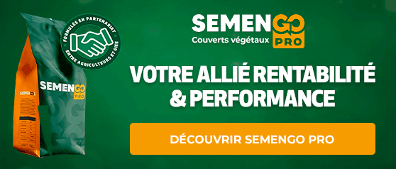 202604_SEMENGO_BRANDSTORE