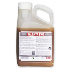 TALENTA PRO