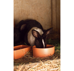 Mangeoire plastique ronde 500 ml - CHICK'A