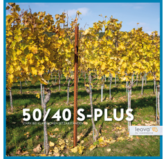 LEOVA® 50/40 S-Plus - Reihenpfahl - COR-TEN