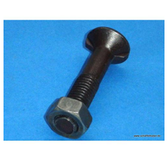 DE - Pflugschraube 11014/12x70 10.9