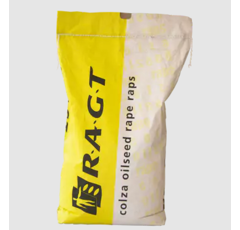 Colza hybride - RGT Valerian