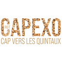 Blé tendre d'hiver - RGT Capexo - BIO