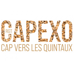 Blé tendre d'hiver - RGT Capexo - BIO