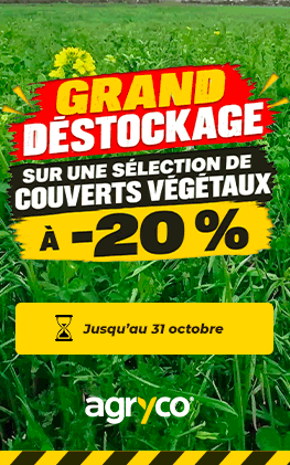 AGRYCO_SEEDS_destockage-couverts-vegetaux_250926