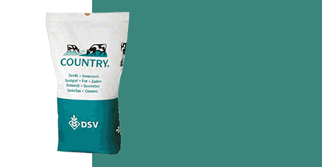 DSV_072025