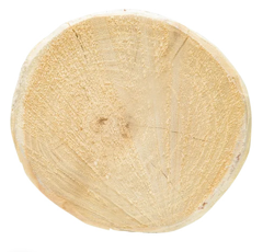 Piquet rond en acacia-robinier Ø 6 - 8 cm - PATURA