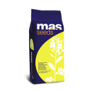 Colza hybride - Kombia