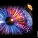 Blé tendre d'hiver - KWS Perceptium