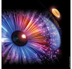 Blé tendre d'hiver - KWS Perceptium