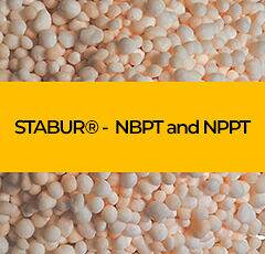STABUR® Harnstoffdünger mit Urease-Inhibitor NBPT & NPPT