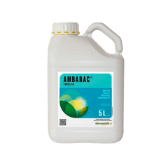 Ambarac | Fungizid