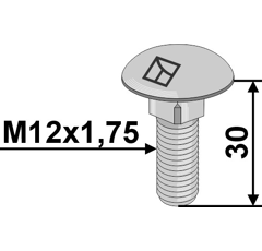 Schraube M12x1,75x30 mm für Grubber LEMKEN 3011806 Nachbau