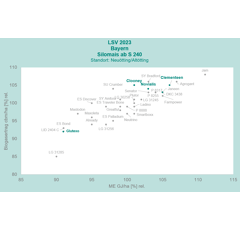 Saatmais - Novialis DS 1901 C (S290) DSV