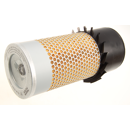 MANN  Luftfiltereinsatz C141791