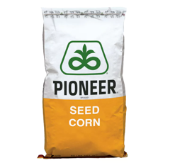 Saatmais - P8834 (K250) PIONEER