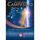 Winterweizen -  Campesino