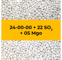 24-00-00 + 22 SO3 + 05 MgO