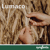 Triticale - Lumaco