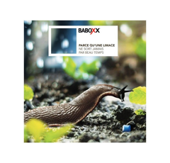 BABOXX | Appâts Anti-limaces
