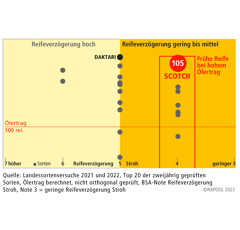 Scotch | Hybrider Winterraps