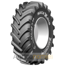 Pneu agricole MICHELIN MACHXBIB 600/70 R30 152