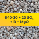 6-10-20 + 20 SO3 + B + 2MgO - Fertilizante Granulado