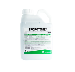 Tropotone