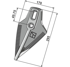 Gänsefußschar 170mm - Hartmetallbeschichtet - Amazone - Nachbau